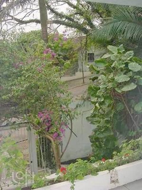 Image 11 - 249067
